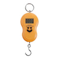 50kg Digital Hanging Luggage Scale